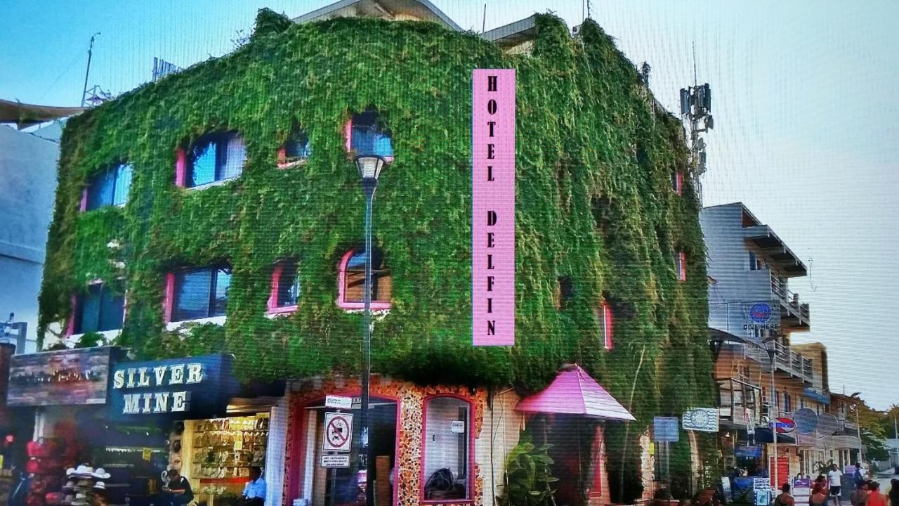 Boutique Hotel Delfin 5Th Avenue Playa del Carmen Exterior photo
