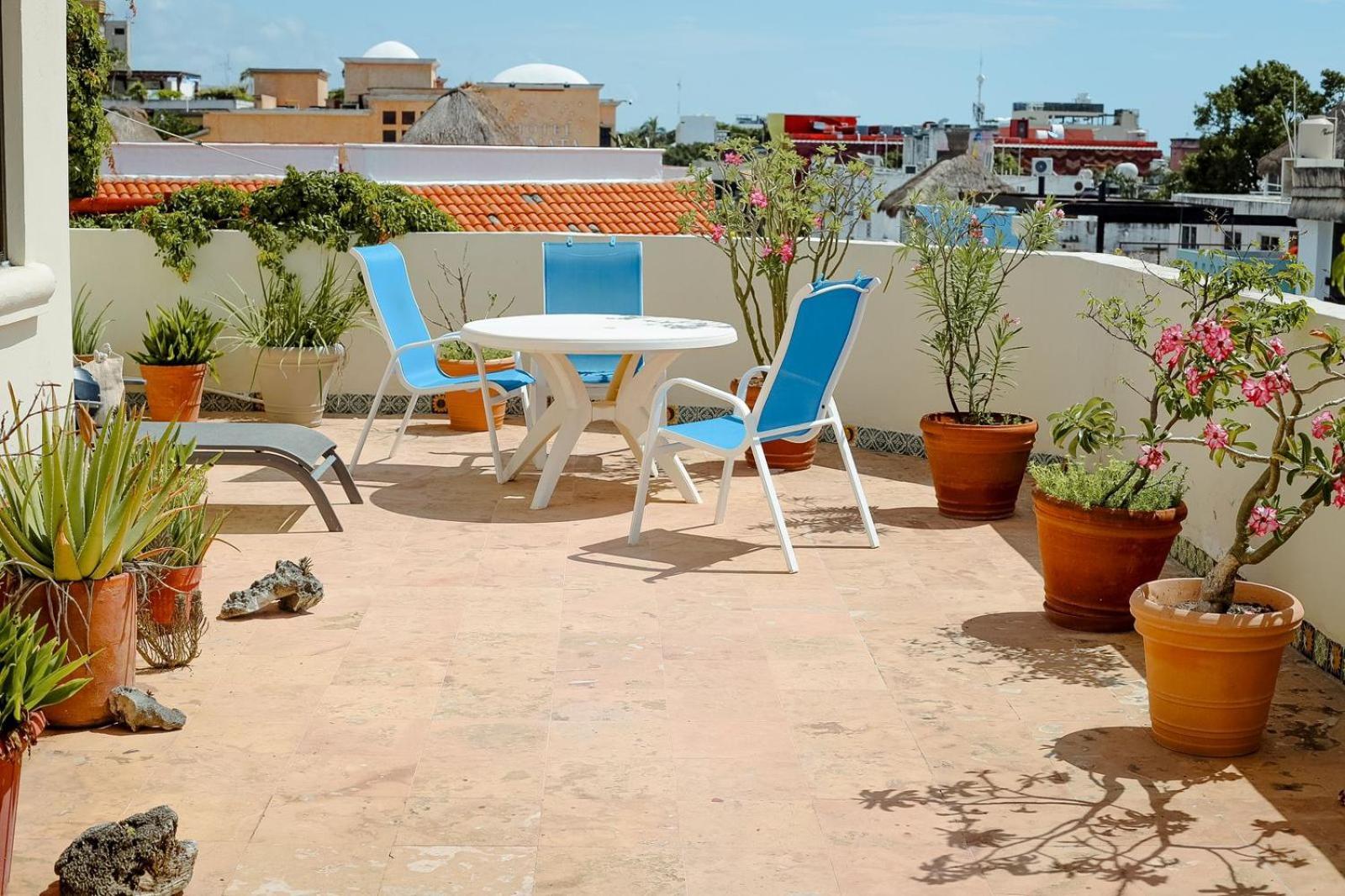 Boutique Hotel Delfin 5Th Avenue Playa del Carmen Exterior photo
