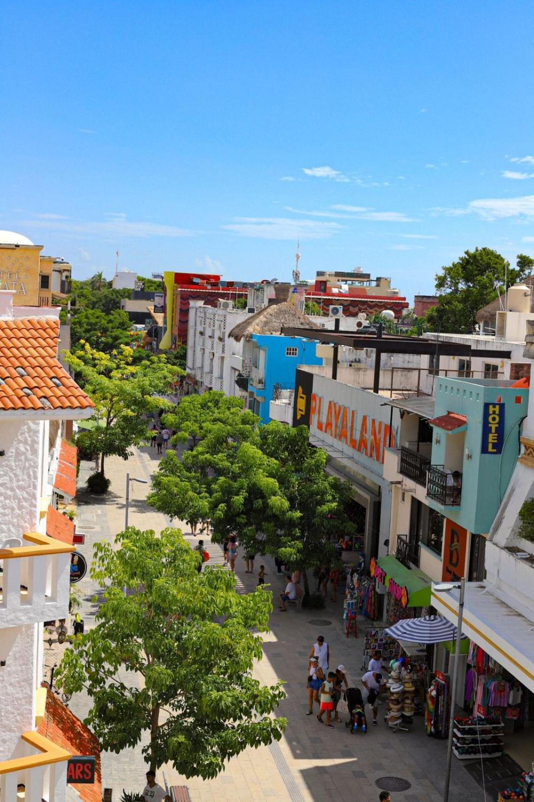 Boutique Hotel Delfin 5Th Avenue Playa del Carmen Exterior photo