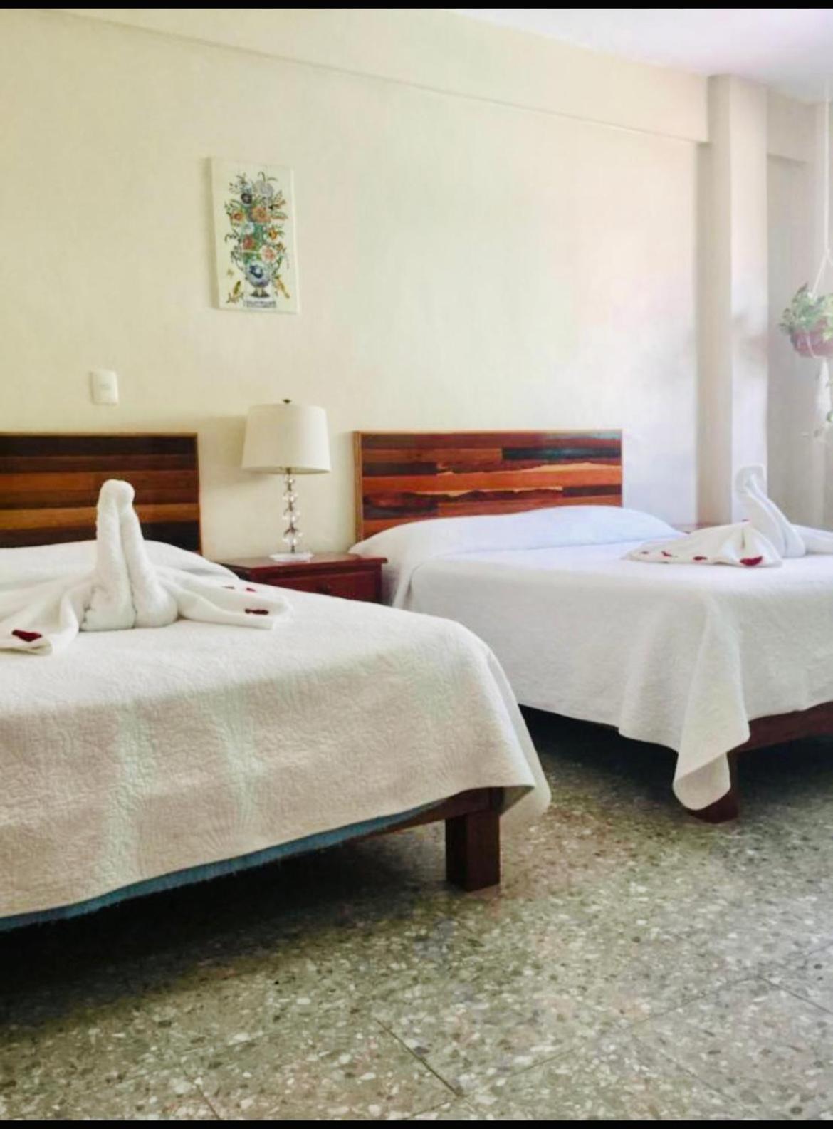 Boutique Hotel Delfin 5Th Avenue Playa del Carmen Exterior photo